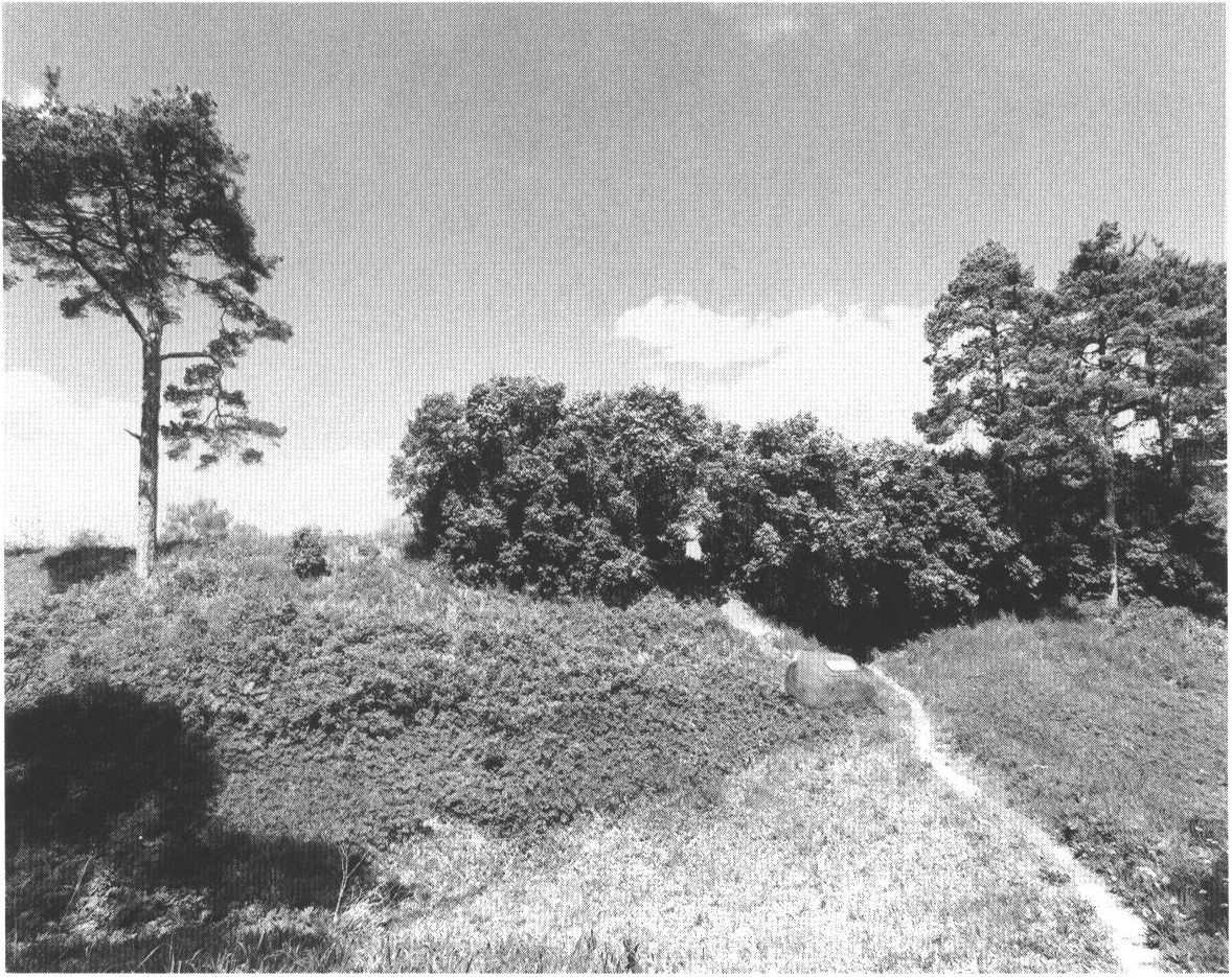 Городки по Шелони 1239 г.: Порховское городище (нижняя иллюстрация) Городки по Шелони 1239 г.: Порховское городище (нижняя иллюстрация)