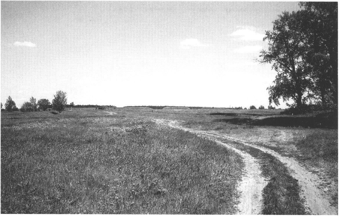 Старая Рязань. Городище Старая Рязань. Городище