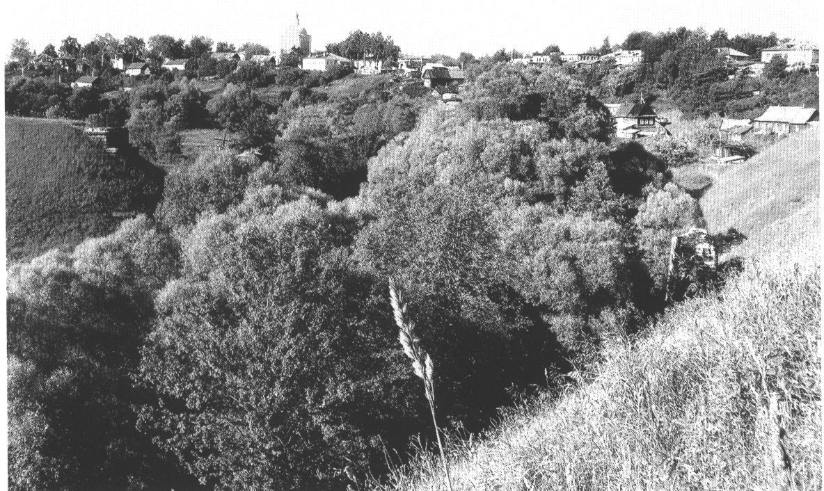 Козельск. Долина реки Другуски — естественного рубежа обороны в 1238 г. Козельск. Долина реки Другуски — естественного рубежа обороны в 1238 г.