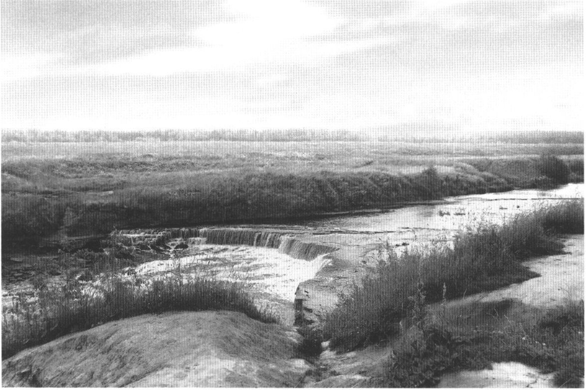 Река Тосна. Пороги Река Тосна. Пороги