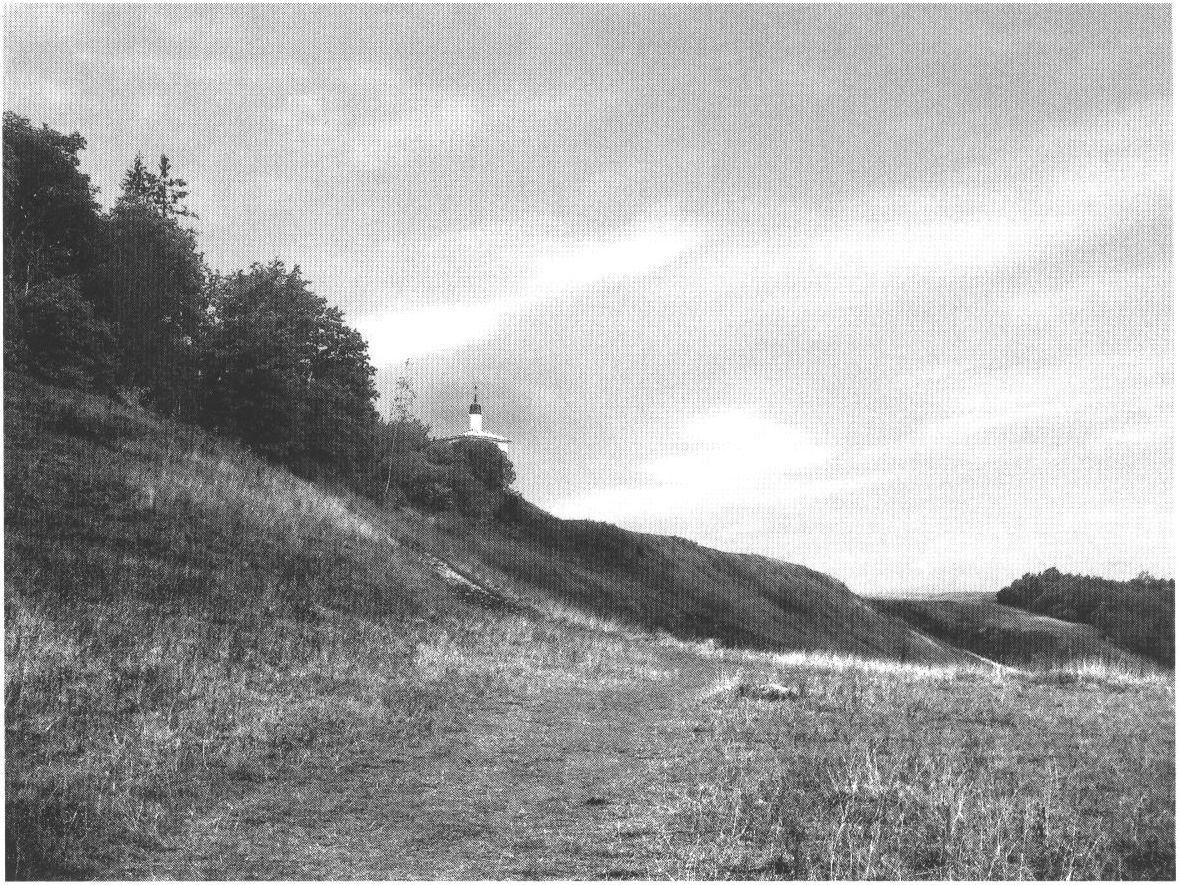 Изборск. Старое городище. Фото С.В. Алексеевой Изборск. Старое городище. Фото С.В. Алексеевой