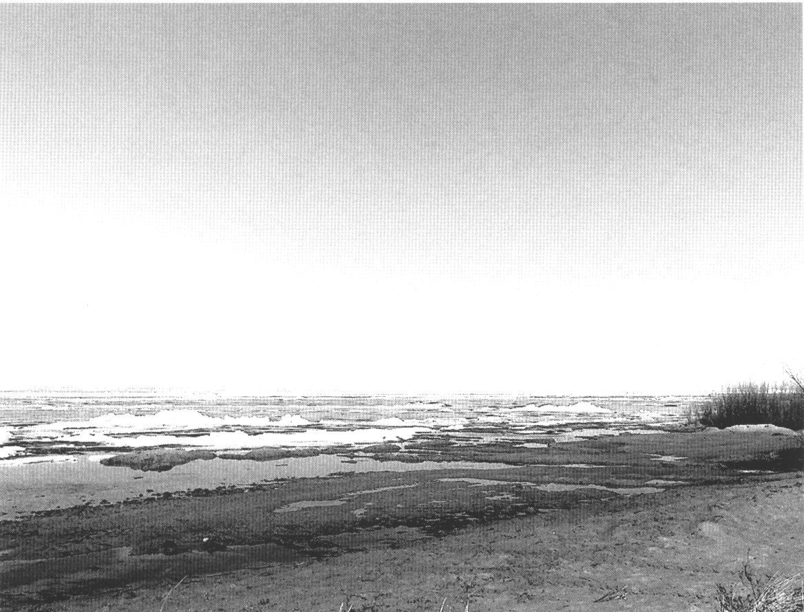 Лед Чудского озера. Апрель, 2013 г. Лед Чудского озера. Апрель, 2013 г.