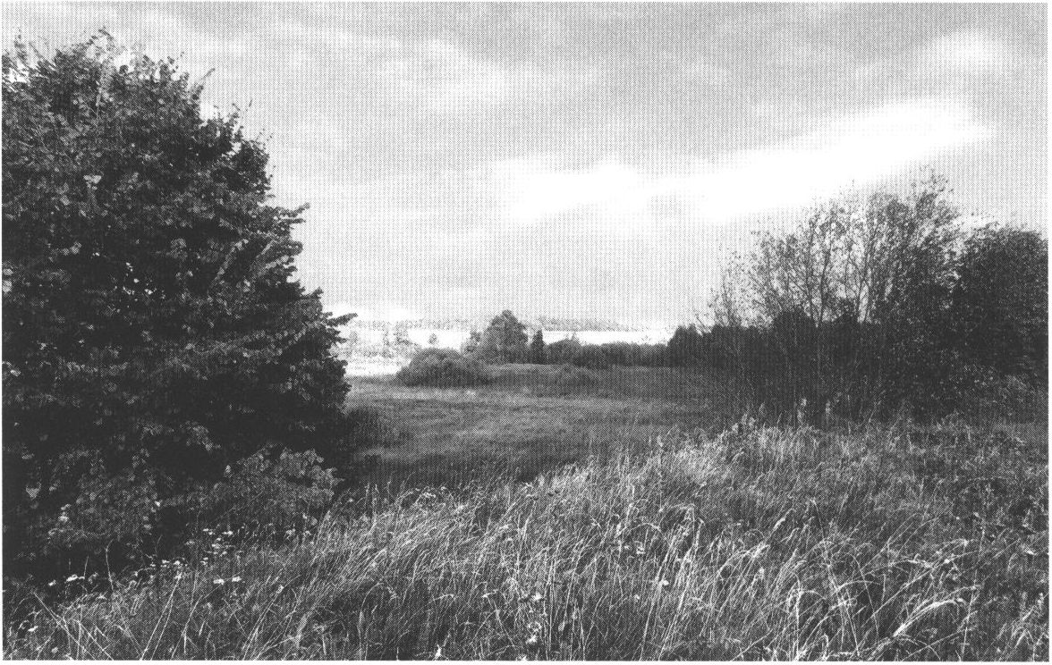 Жижецкое городище Жижецкое городище