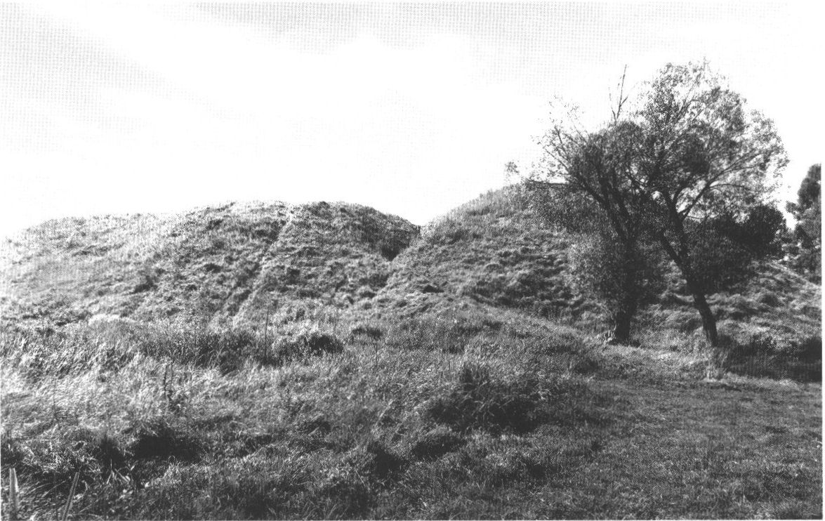 Малое Торопецкое городище — древний Торопец Малое Торопецкое городище — древний Торопец