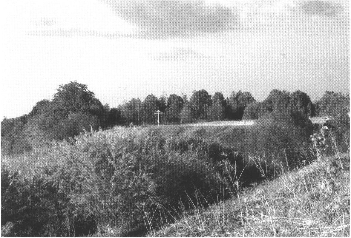 Городки по Шелони 1239 г.: Городище в деревне Городок Солецкого района Новгородской обл. Городки по Шелони 1239 г.: Городище в деревне Городок Солецкого района Новгородской обл.