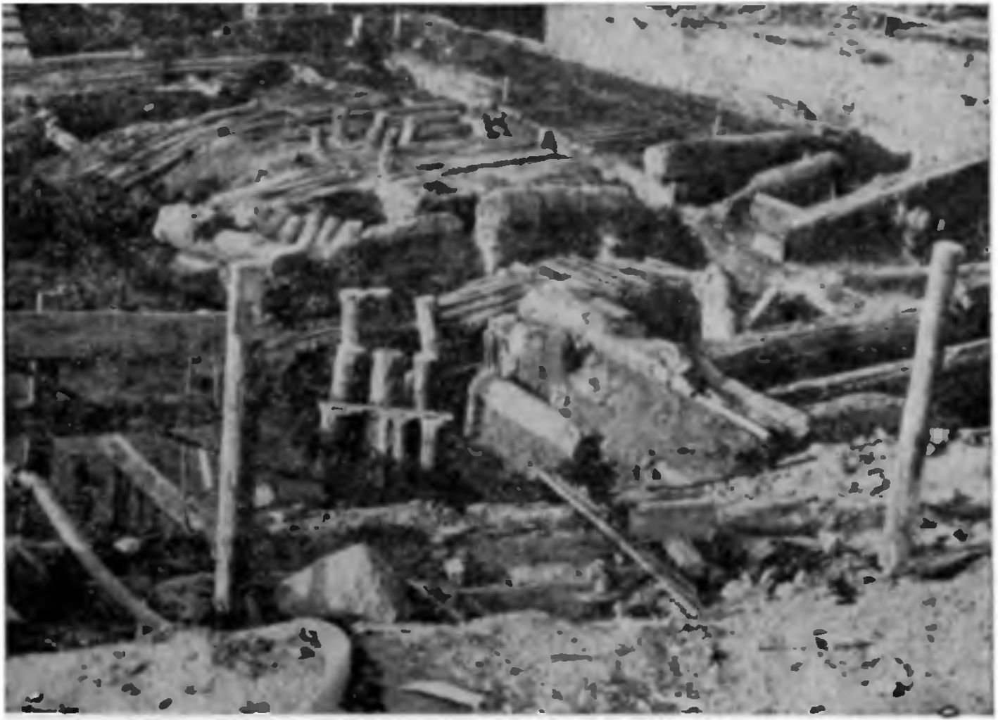 Рис. 21. Остатки деревянных сооружений (срубы 4 и 5) на Готском раскопе Рис. 21. Остатки деревянных сооружений (срубы 4 и 5) на Готском раскопе