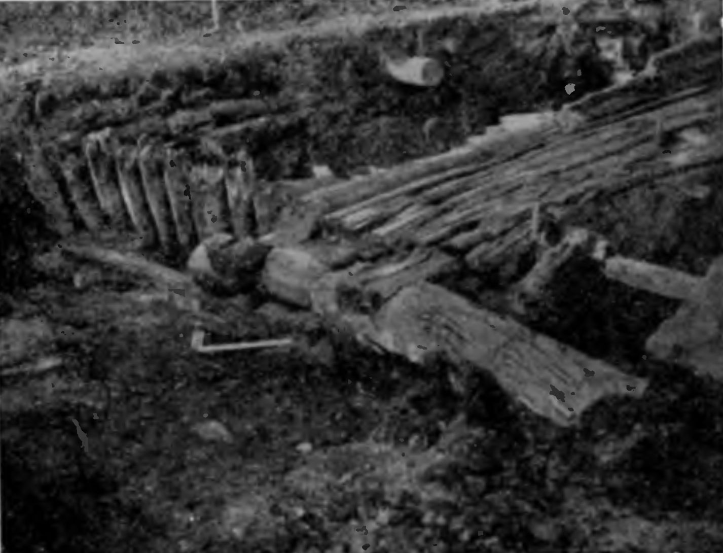 Рис. 23. Остатки частокола на Готском раскопе Рис. 23. Остатки частокола на Готском раскопе