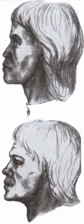 Кривичи Кривичи