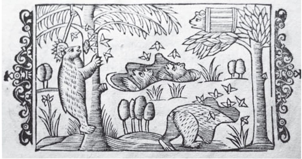 Медведи Биармии на рисунках из книги «История Северных народов» (Olaus Magnus, Gothus. Historia de gentibus septentrionalibus / Olaus Magnus. Romae, 1555) Медведи Биармии на рисунках из книги «История Северных народов» (Olaus Magnus, Gothus. Historia de gentibus septentrionalibus / Olaus Magnus. Romae, 1555)