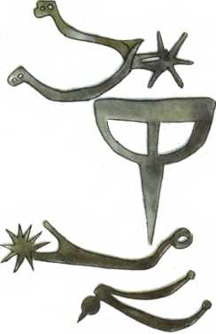 Шпоры Шпоры