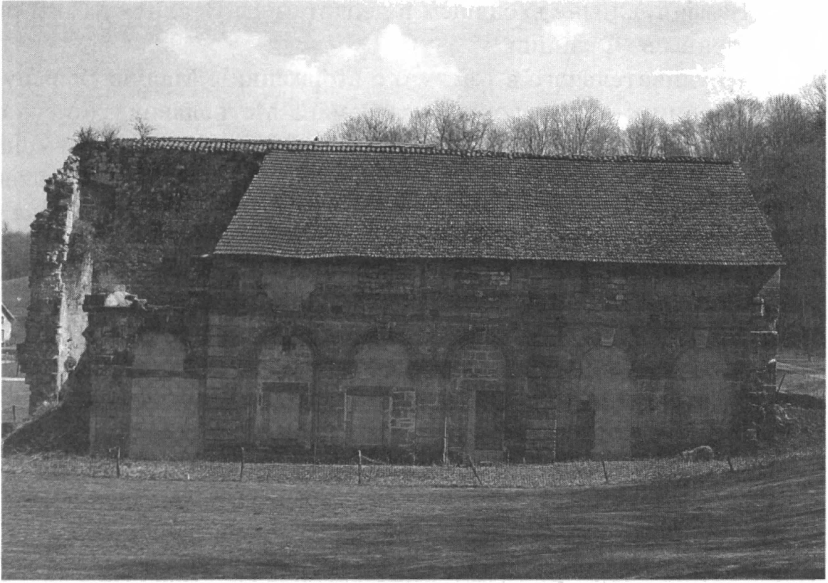 Ил. 30. Руины библиотеки аббатства Моримон. Современный вид (департамент Верхняя Марна, Шампань-Арденны, Франция) Ил. 30. Руины библиотеки аббатства Моримон. Современный вид (департамент Верхняя Марна, Шампань-Арденны, Франция)