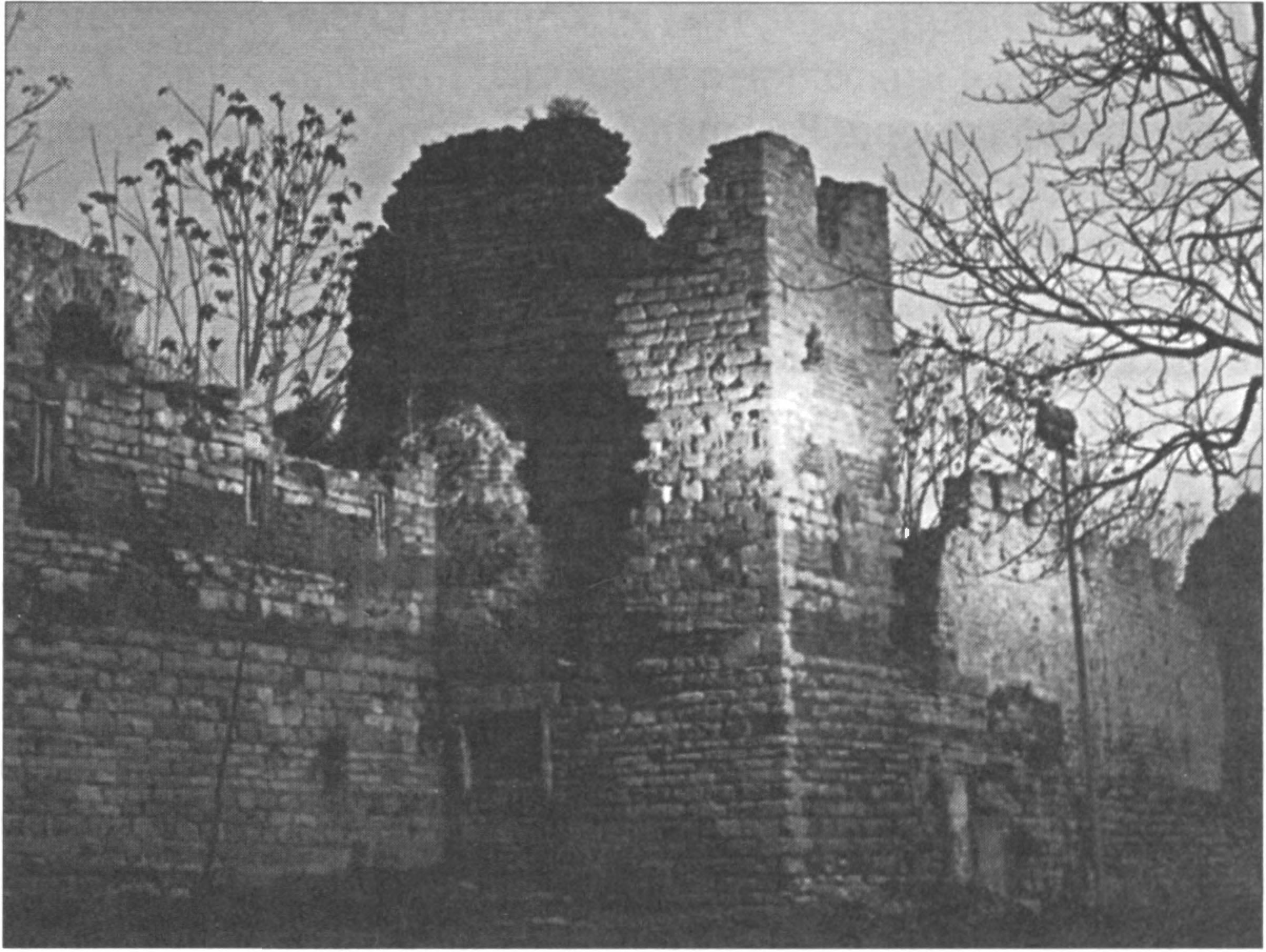 Ил. 48. Остатки средневековых стен Константинополя. Современный вид (Стамбул, Турция) Ил. 48. Остатки средневековых стен Константинополя. Современный вид (Стамбул, Турция)