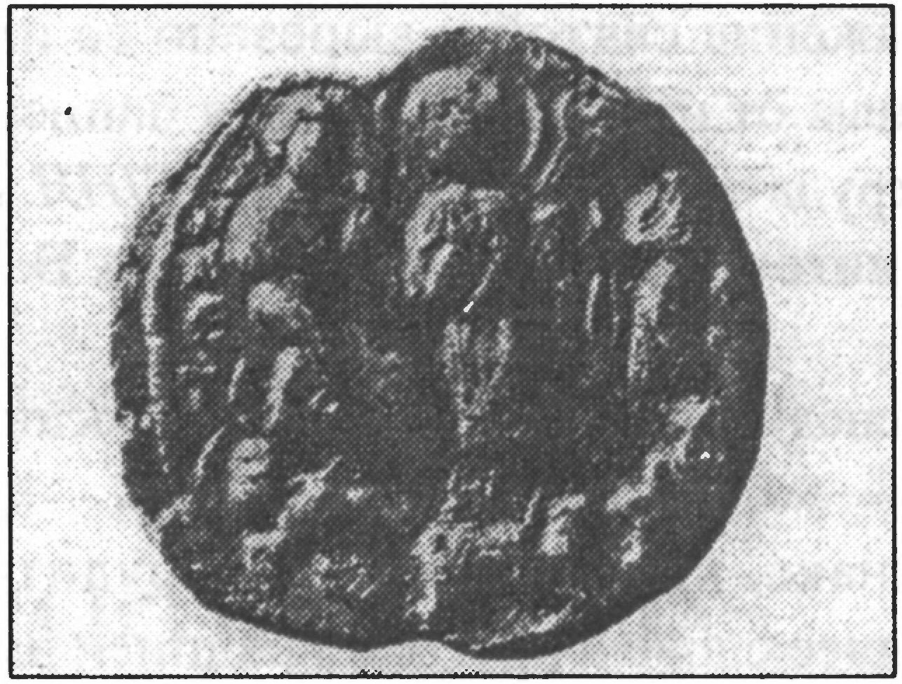 Ил. 74. Свинцовая печать с изображением св. Евфросинии и сцены Преображения, найденная в Новгороде в 1968 г. Новгородский государственный объединенный музей-заповедник (Великий Новгород, Россия) Ил. 74. Свинцовая печать с изображением св. Евфросинии и сцены Преображения, найденная в Новгороде в 1968 г. Новгородский государственный объединенный музей-заповедник (Великий Новгород, Россия)