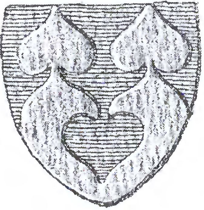 Печать члена Любекского магистрата Герарда Вулленпунта, 1314 г. Печать члена Любекского магистрата Герарда Вулленпунта, 1314 г.