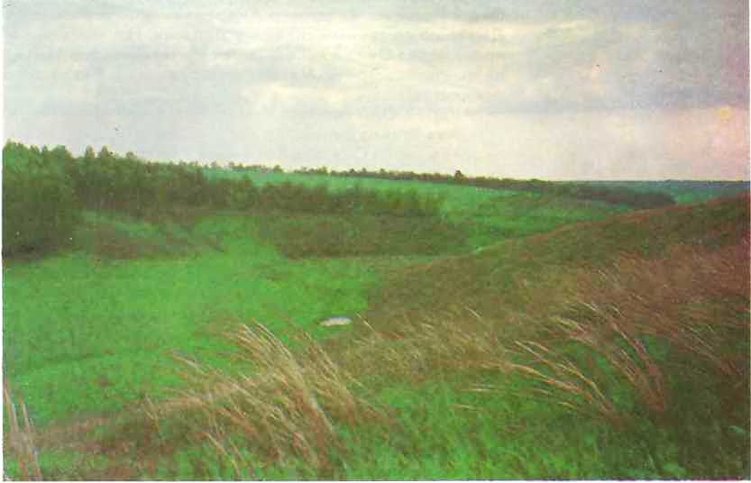 Куликово поле теперь. Фото Ю. Кавера Куликово поле теперь. Фото Ю. Кавера